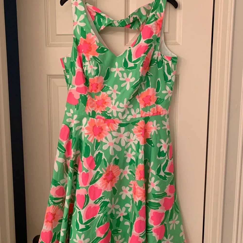 Lilly Pulitzer dress - Picture 6 of 8